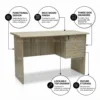 Fiecke Office Desk with Drawers