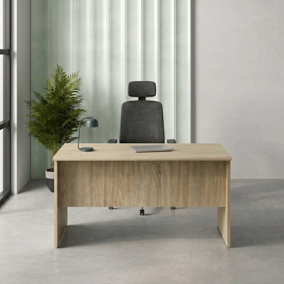 Fiecke Office Desk with Drawers…