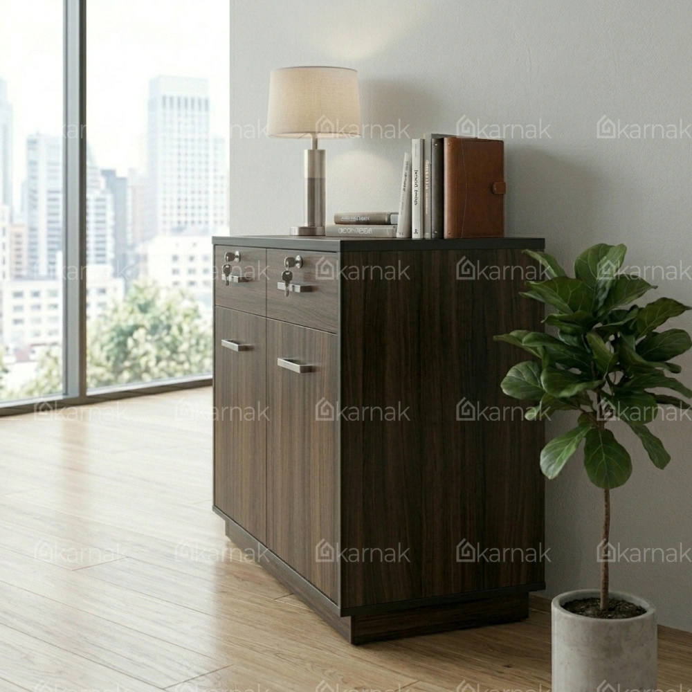 Luxerio Wooden 2-Door Low Cabinet With Drawers