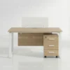 Trendora Two Person  Workstation – Oak & White